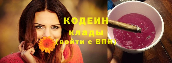apvp Арсеньев